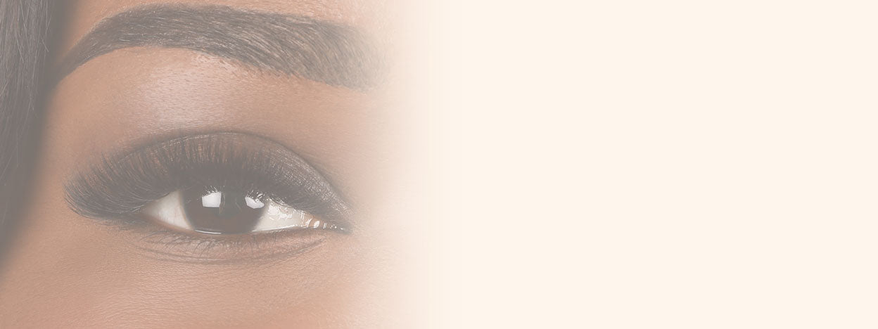 Master the Art of Brow Treatments Blog Banner