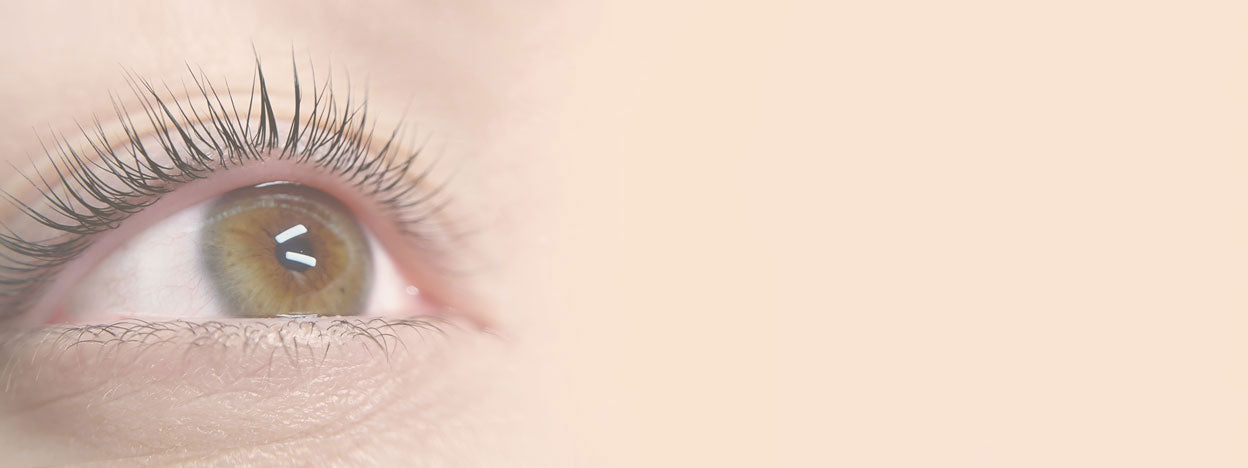 Top 3 Tips For The Perfect Lash Lift Blog Banner