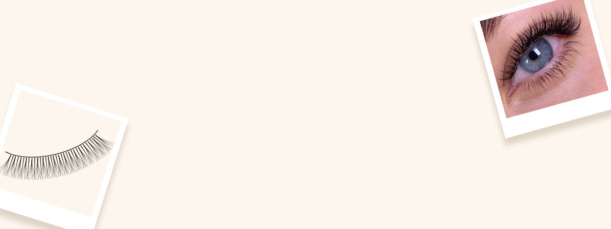 Close-up of a set of Hybrid Lashes