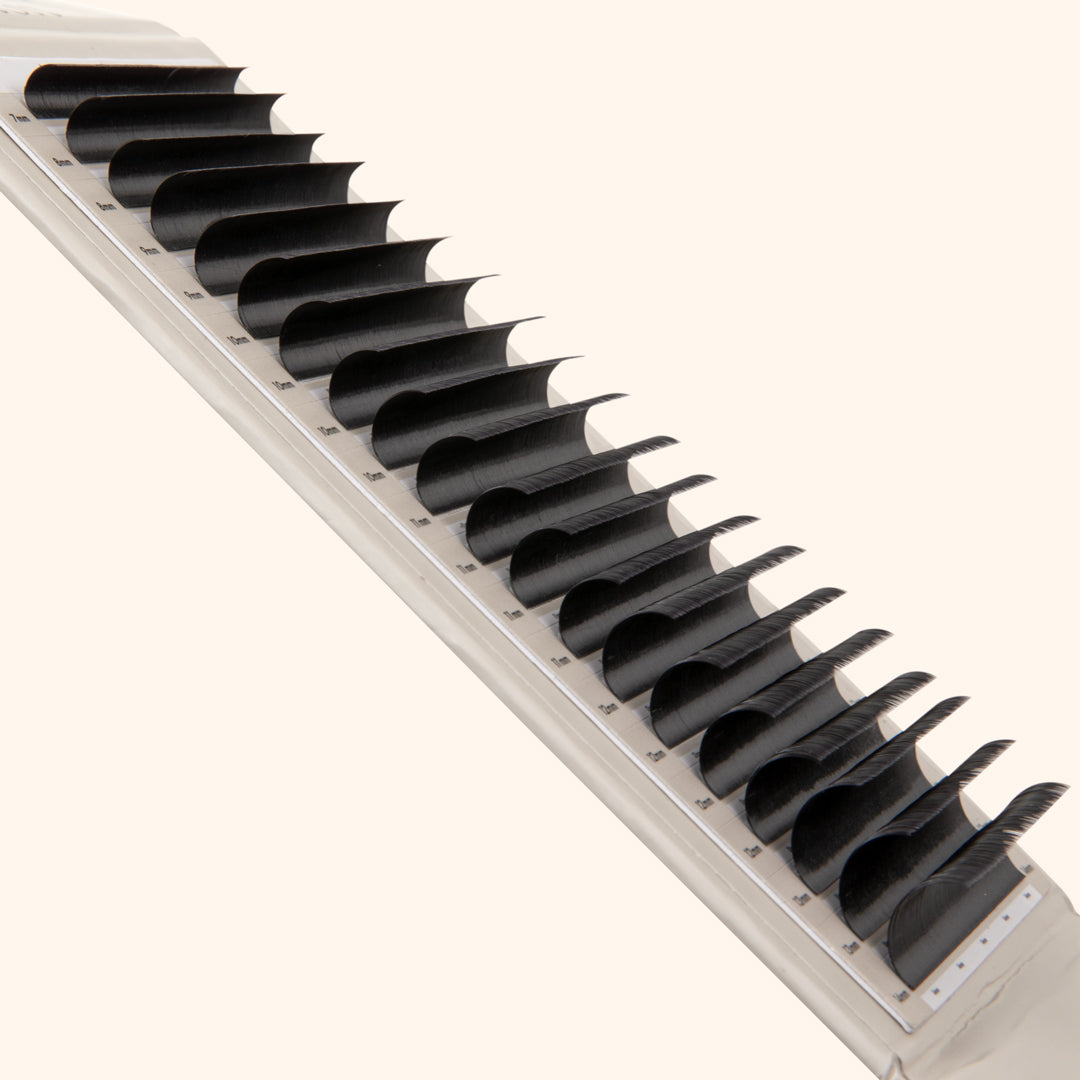 Kensington lashes, volume lash extensions on lash tray, best volume lashes, best eyelash extensions for volume, best Russian volume lashes, best eyelash extensions for volume 0.085