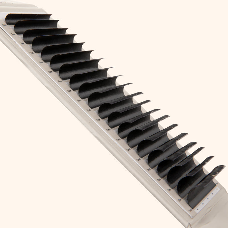 Kensington lashes, volume lash extensions on lash tray, best volume lashes, best eyelash extensions for volume, best Russian volume lashes, best eyelash extensions for volume 0.085