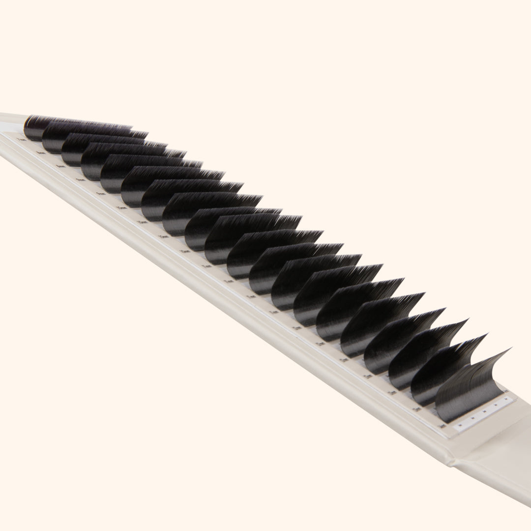 Kensington lashes, volume lash extensions on lash tray, best volume lashes, best eyelash extensions for volume, best Russian volume lashes, best eyelash extensions for volume 0.085