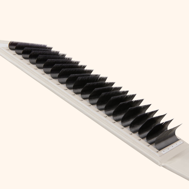 Kensington lashes, volume lash extensions on lash tray, best volume lashes, best eyelash extensions for volume, best Russian volume lashes, best eyelash extensions for volume 0.085